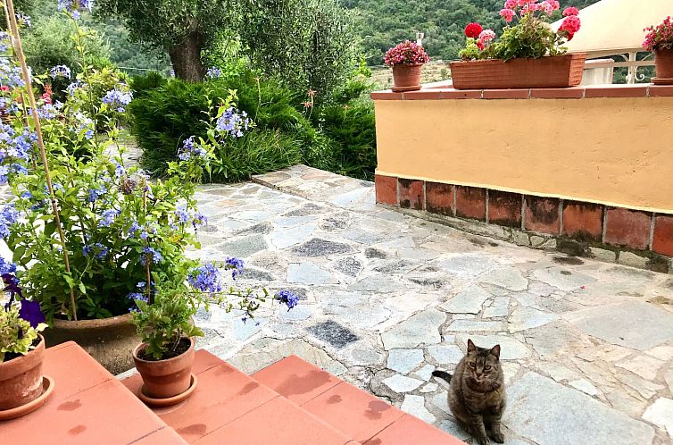 Appartement Casa Belvedere