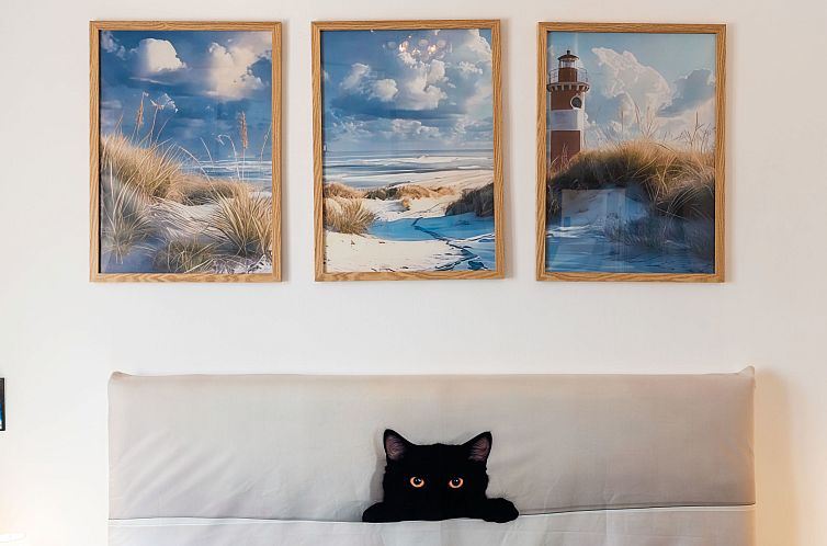 Appartement Marisol