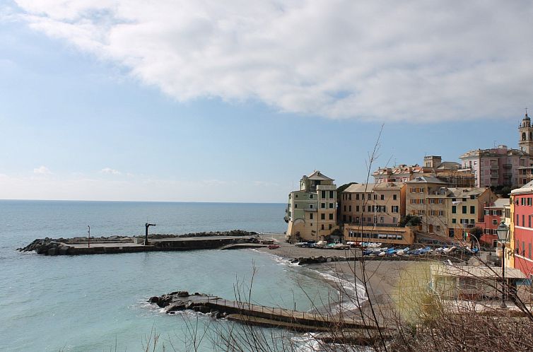 Unterkunft 09018203 - Appartement Ligurien - Appartement Gemütliche Wohnung in Bogliasco mit Schöner Te