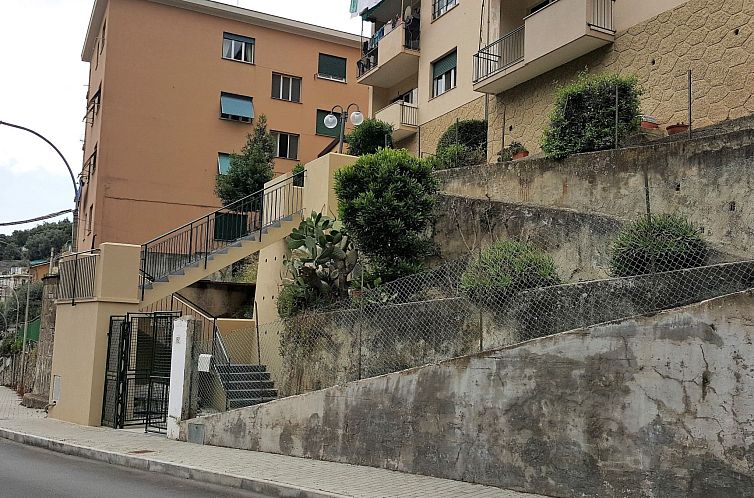 Appartement Gemütliche Wohnung in Bogliasco mit Schöner Te