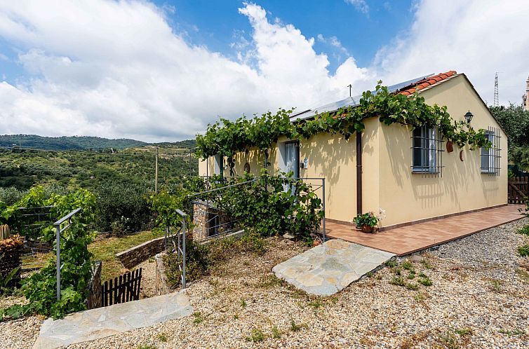 Vakantiehuis Olive Lodge