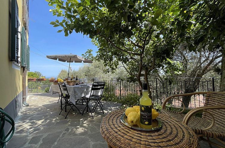 Guest house 09023202 - Apartment Liguria - Appartement Casa dei Fiori