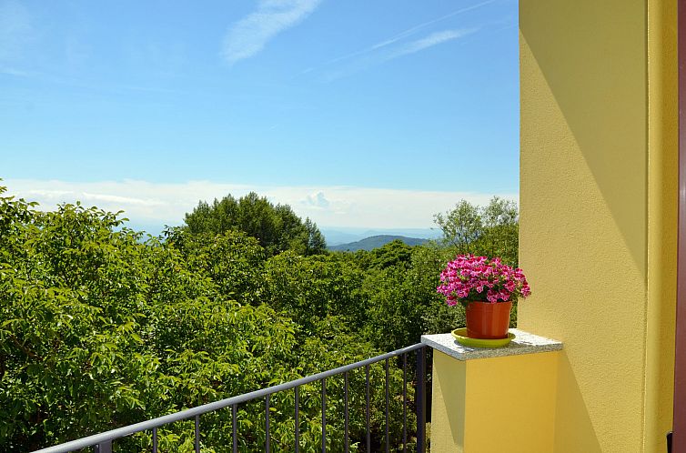 Appartement Noce (SBO103)