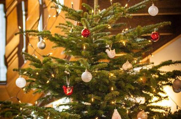 Landhaus Müllenborn