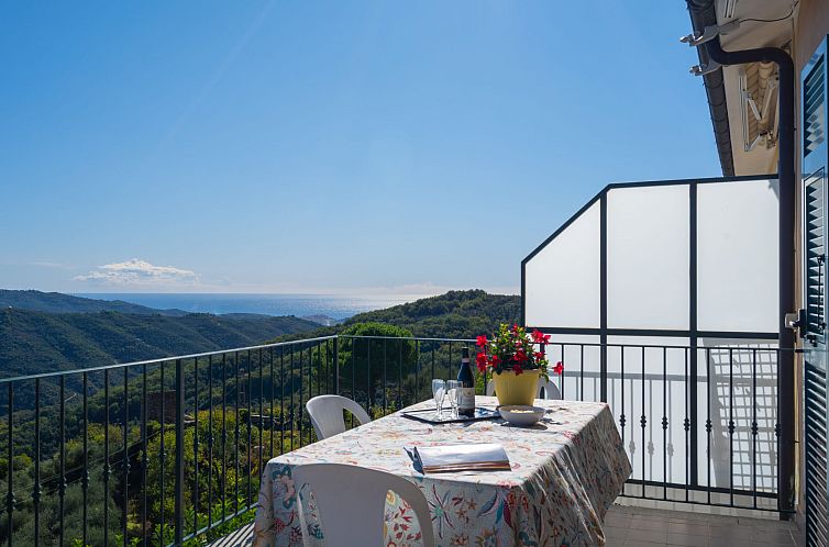 Appartement Mimosa (VLO200)