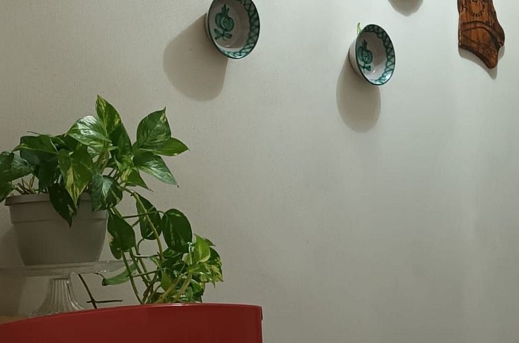 Appartement Cavalluccio