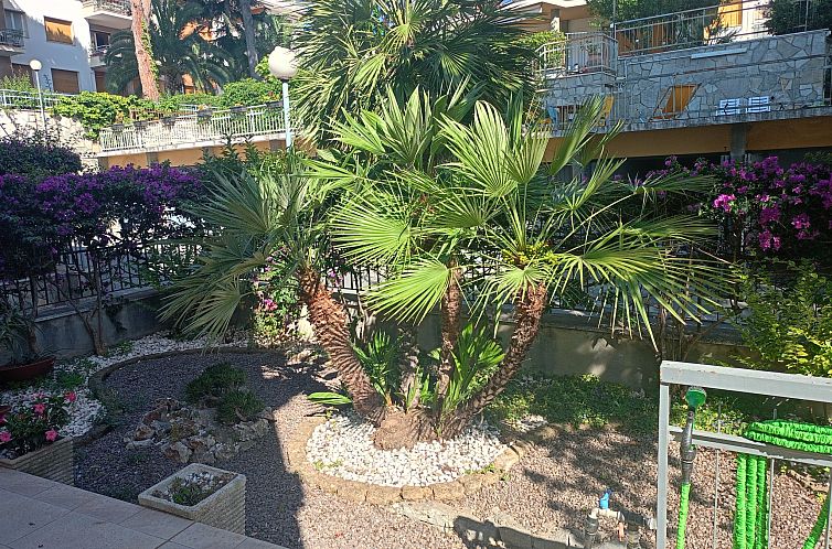 Appartement Bouganville