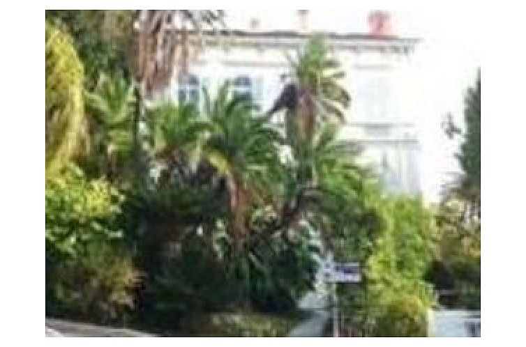 Guest house 0902866 - Apartment Liguria - Appartement in Sanremo