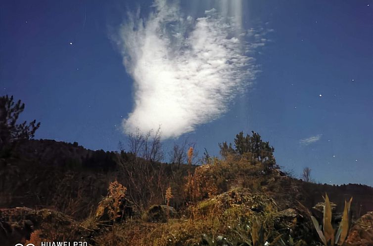 Appartement Chalet 'Perle des Höhenweges'