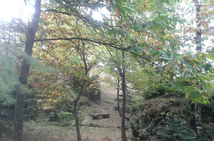Vakantiehuis Natur und Entspannung, Villa im Park