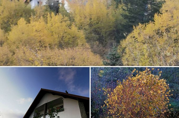 Appartement La Perla dell'ALta Via Wohnung mit Park