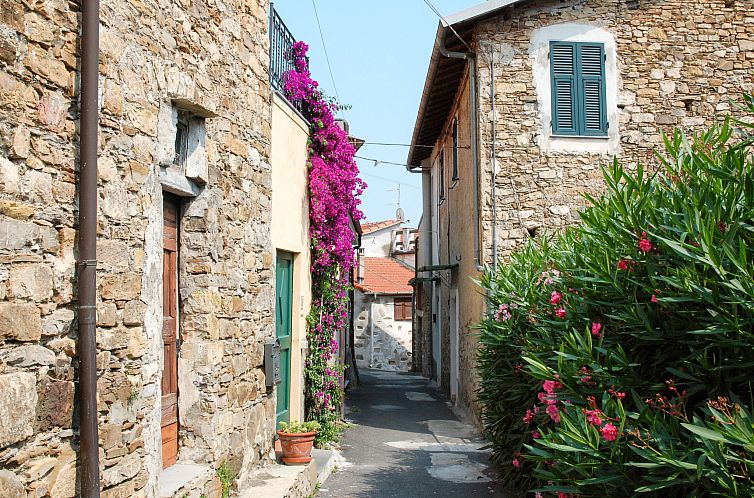 Appartement Elisa (DOL127)