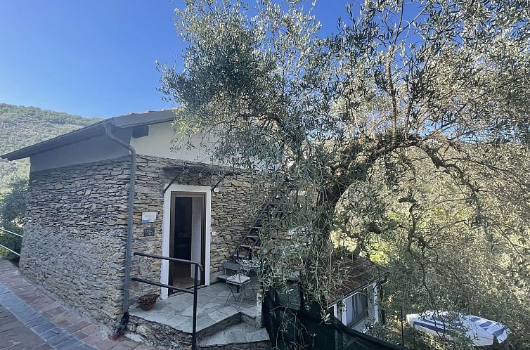 Appartement Asplanato (DOL161)