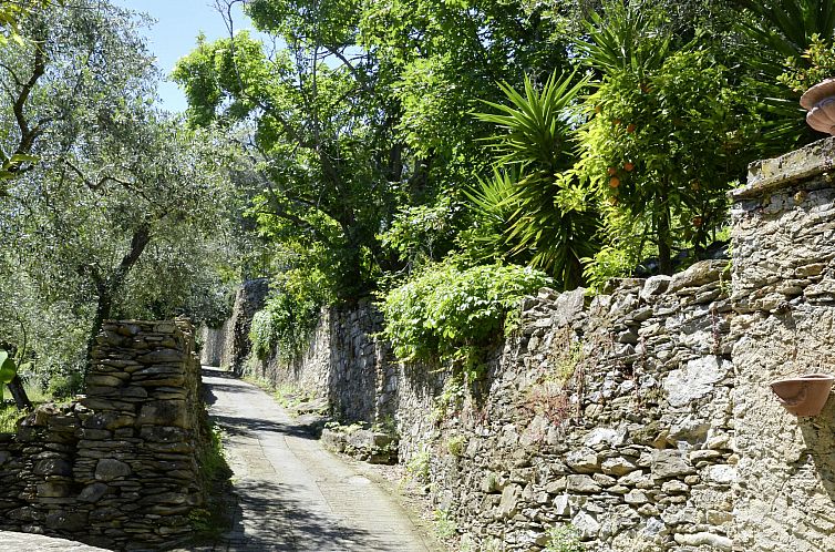 Vakantiehuis Laura (DOL281)