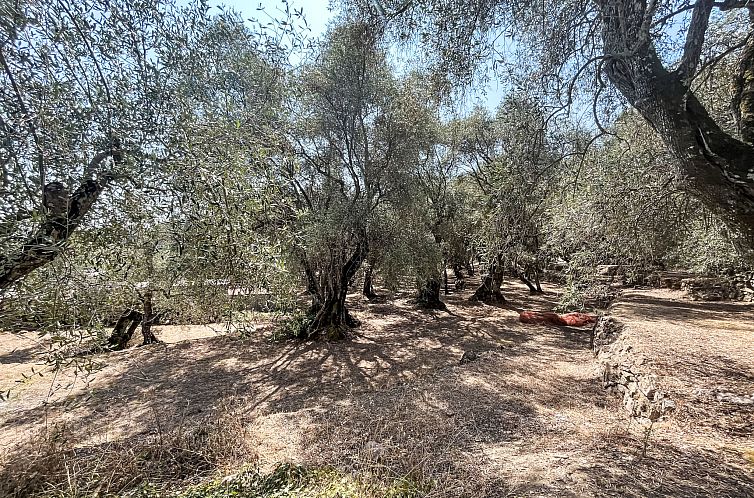 Vakantiehuis Casa Simona (DOL134)