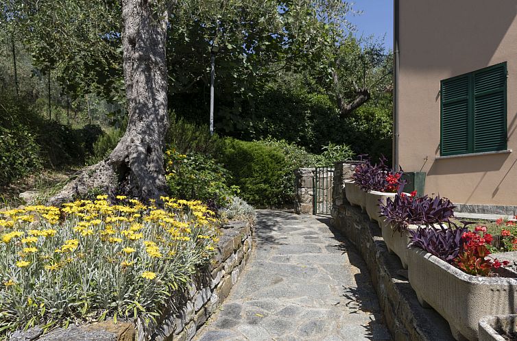 Appartement Verde Adagio
