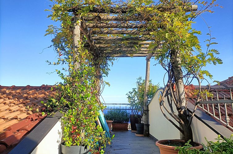 Guest house 0903530 - Holiday property Liguria - Vakantiehuis Terrazza con glicine