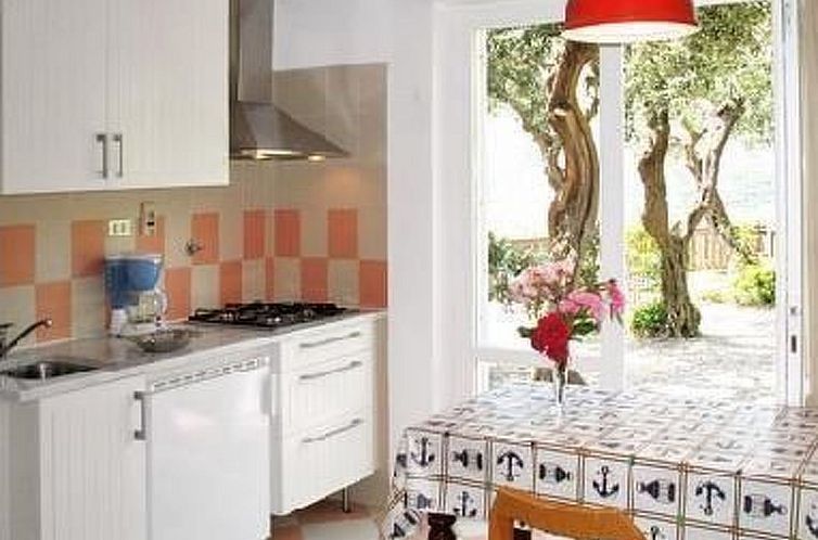 Appartement Einzimmerwohnung mit Panoramablick im Erdgeschos