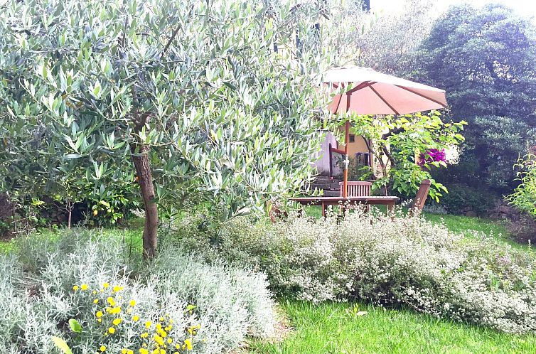 Appartement Wohnung mit privatem Garten in Villa