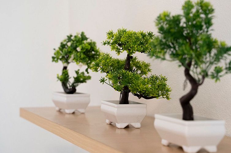 Appartement Der Bonsai