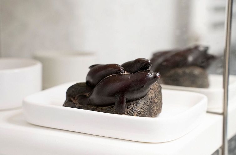 Appartement Der Bonsai