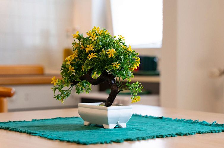 Appartement Der Bonsai