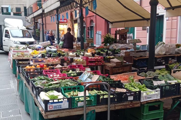 Appartement Seestern