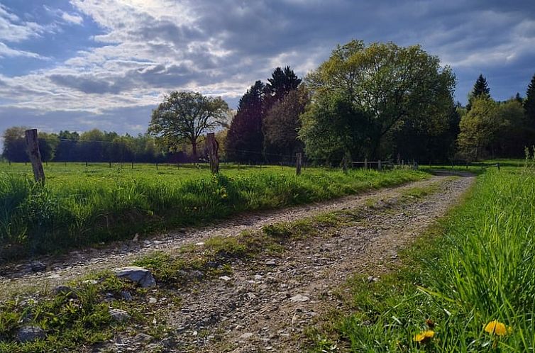 Vakantiehuis in Vielsalm