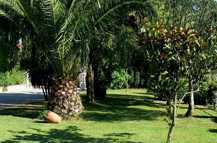 Appartement Appartement in Centola mit Grill, Terrasse und G