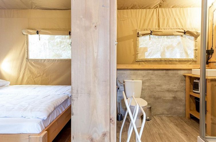 Stardust 40 Family Lodge