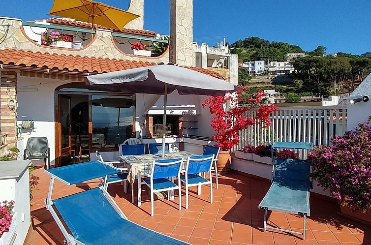 Guest house 0914202 - Apartment Campania / Naples - Appartement La Favola