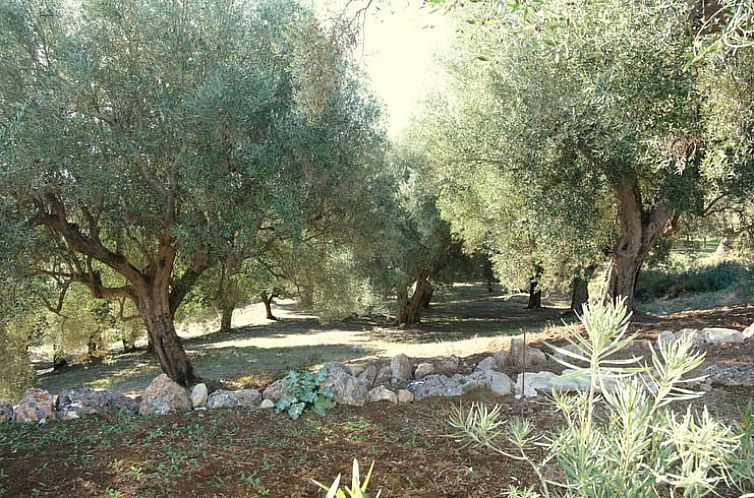 Huisje in San Giovanni a Piro