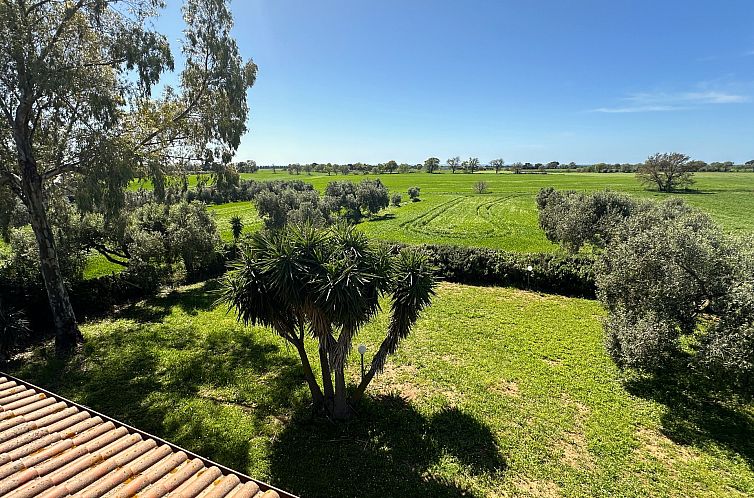 Vrijstaande woning in Tarquinia