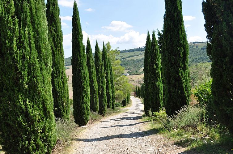 Appartement Bauernhof "Cetona