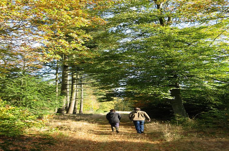 «Les Jardins de l'Ourthe 8»