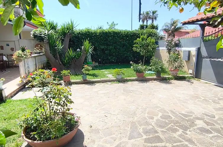 Mare dei Cani Felici