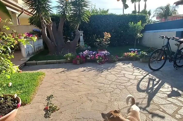 Mare dei Cani Felici