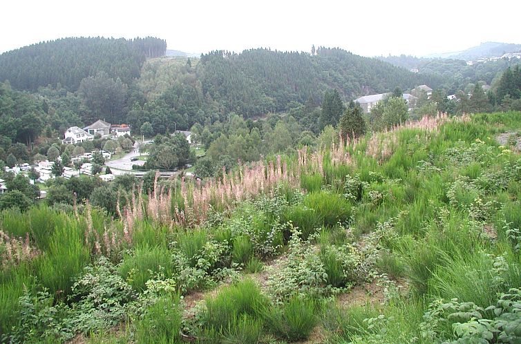 Les Jardins de l'Ourthe 16