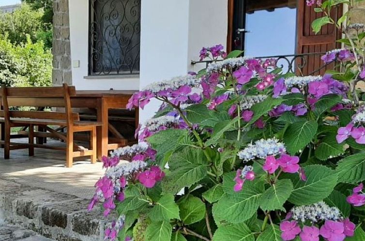 Appartement Villa Garden am See