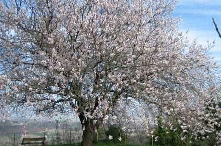Appartement Casa Erika