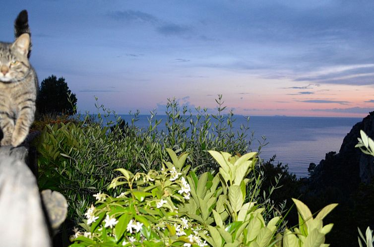 Vakantiehuis mit Garten, Grill und Terrasse