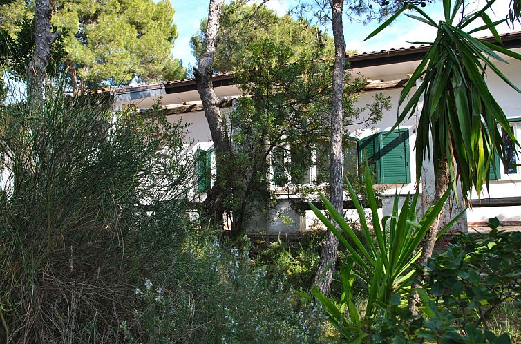 Vakantiehuis Villa zur Alleinbenutzung im Grünen