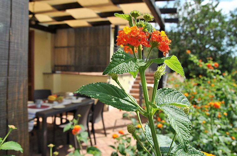 Vakantiehuis Doppelhaushälfte mit Gemeinschaftspool