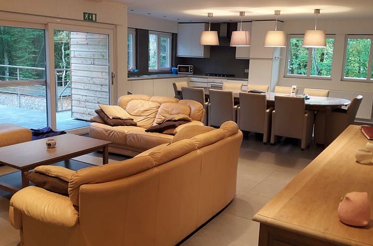 Gezellige woonkamer van Vakantiehuisje in Barvaux-sur-Ourthe, gelegen in de Ardennen, Belgie, met comfortabele zitruimte en uitzicht op de natuur.