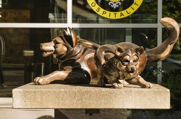 Staypineapple, Watertown, University District Seattle