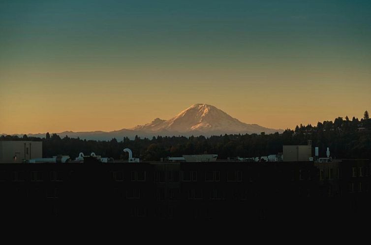 Staypineapple, Watertown, University District Seattle