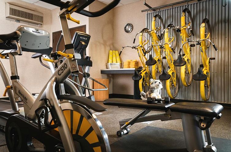 Staypineapple, Watertown, University District Seattle