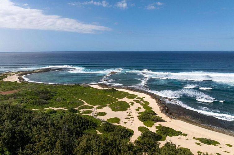 Turtle Bay Resort