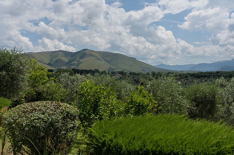 Vakantiehuis Olive Grove Sabina