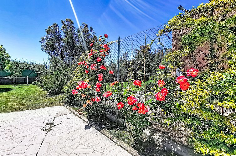 Vakantiehuis VILLAGGIO GIORNALISTI 21